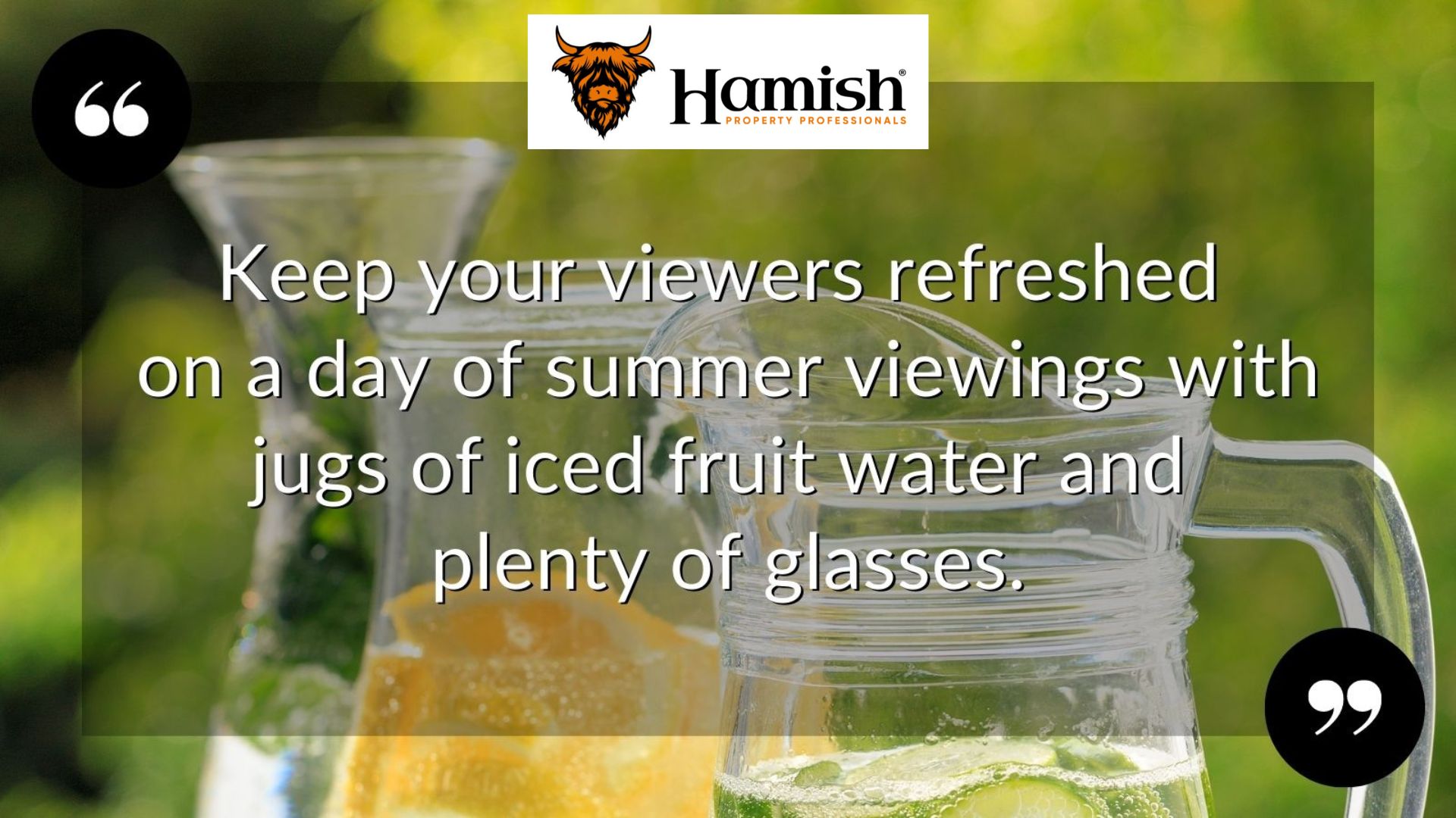 Fresh Summer Viewings
